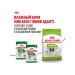 ROYAL CANIN X-Small Adult food for small dogs X Small 3 kg 2 pcs - Buy Online on GoSupps.com