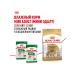 ROYAL CANIN Dry pomeranian feed for dogs Pomeranian spitz 0.5 kg 4pcs - Buy Online on GoSupps.com