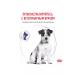ROYAL CANIN Feeding dry Neutered Sterilized Small Dogs 0.8 kg 4 pcs - Buy Online on GoSupps.com