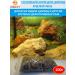 AQUAV The main food for cichlids and other fish 100g