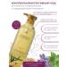 LADOR The shampoo strengthens from hair loss Dermatical Hair Loss - Buy Online on GoSupps.com