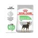 ROYAL CANIN RC Digestive Care Mini dog food 3kg - Buy Online on GoSupps.com