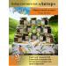 Tea gift in jars of sheet assorted - Buy Online on GoSupps.com