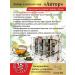 Tea gift in jars of sheet assorted - Buy Online on GoSupps.com