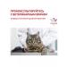 ROYAL CANIN Diabetic for cats 1.5 kg diabetic - Buy Online on GoSupps.com