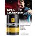 BIOVIN Creatine Monohydrate 300 Capsules Creatine MonohyDrate Sportpite - Buy Online on GoSupps.com