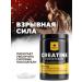 BIOVIN Creatine Monohydrate 300 Capsules Creatine MonohyDrate Sportpite - Buy Online on GoSupps.com