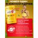 LACTOFIT Diet a probiotic for the intestines Korean prebiotic - Buy Online on GoSupps.com
