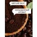 dallmayr Natural coffee ground Dalmar Prodeomo Arabica 100% 500g - Buy Online on GoSupps.com