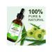 Aliver Ampla oil for hair growth - Buy Online on GoSupps.com