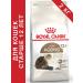 ROYAL CANIN Senior Ageing 12+ for cats 2 kg