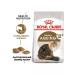 ROYAL CANIN Senior Ageing 12+ for cats 2 kg - Buy Online on GoSupps.com