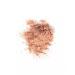 INGLOT Feature shadows shiny AMC Pure Pigment Eye Shadow 146 - Buy Online on GoSupps.com
