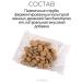Biocorrector RD Prebiot for cats to improve gastrointestinal gasters of intestinal microflora - Buy Online on GoSupps.com