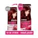 Garnier Color Sensation hair dye 5.62 Tsarist grenades - 3 pcs - Buy Online on GoSupps.com