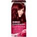 Garnier Color Sensation hair dye 5.62 Tsarist grenades - 3 pcs - Buy Online on GoSupps.com