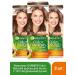 Garnier Color Naturals paint 7.132 Natural blond - 3 pcs