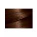 Garnier Color Naturals hair dye 4.3 Golden chestnut - 2 pcs - Buy Online on GoSupps.com