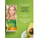 Garnier Color Naturals hair dye 9.1 Sun Beach - 3 pcs - Buy Online on GoSupps.com
