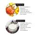 Kapous Shampoo and Balm Caring Line for Studio volume 1000ml - Buy Online on GoSupps.com