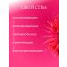 ZenWay In the cream from wrinkles for the face an anti -aging additive - Buy Online on GoSupps.com