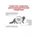 ROYAL CANIN GastroinTestinal Fiber Response for cats 2 kg - Buy Online on GoSupps.com