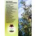 Balen Dietary supplement for the heart and blood vessels olive leaves extract - Buy Online on GoSupps.com