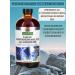 Vitamins Malat and glycinate of magnesium in liquid form 480 ml - Buy Online on GoSupps.com