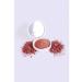 GABRINI Face blossom baked Terracotta 12g - Buy Online on GoSupps.com