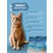 Pure Nature Dry hypoallergenic food for cats "chicken" - Buy Online on GoSupps.com