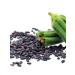 NOYER Black sesame natural seeds 250 g - Buy Online on GoSupps.com