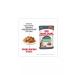 ROYAL CANIN Digestive sauce wet food 85 g 28 pcs - Buy Online on GoSupps.com