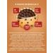 Sporty Protein cookies without sugar assorted 7 dessert - Buy Online on GoSupps.com
