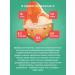 Sporty Protein cookies without sugar assorted 7 dessert - Buy Online on GoSupps.com