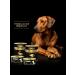 Fourlegged Gourmet Dog food moist Golden Line Olenina 340 g 12 pcs - Buy Online on GoSupps.com