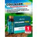 ArtLife Collagen 7000 block (6 bottles of 50 ml) - Buy Online on GoSupps.com