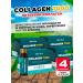ArtLife Collagen 7000 block (6 bottles of 50 ml) 4 pcs