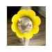 HONS PETS Protective collar for cats and dogs on the neck is soft - Buy Online on GoSupps.com
