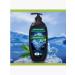 PALMOLIVE Shower gel "Northern Ocean" 750 ml - Buy Online on GoSupps.com