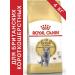 ROYAL CANIN British shorthair adult for cats 4 kg British