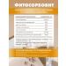 Art Life Phytosorbot - sorbent - Buy Online on GoSupps.com