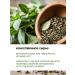 Taiga Territory Herbal tea Siberian health 50 g - Buy Online on GoSupps.com