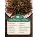 Gratitude Soothing herbal tea "balance" - Buy Online on GoSupps.com
