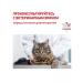 ROYAL CANIN GastroinTestinal Moderate Calorie for cats 2 kg - Buy Online on GoSupps.com