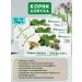 LEKRA-SET Burdock roots in bags of 3 ooles 20f pak