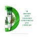 Forest balsam Toothpaste with bleeding gums 75 ml - Buy Online on GoSupps.com