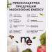 Mushrooms Energy Ezhovik creped mycelium 0.7 gr. Brain Power 1 - Buy Online on GoSupps.com