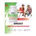 Art Life ENGECT ENGECT Coenzyme Q10 B vitamins BOOD BOOD Energy Source - Buy Online on GoSupps.com