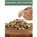 Rosagrozakaz Street bird food and pigeons grain mixture 6 kg - Buy Online on GoSupps.com