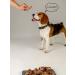 Hashtag Trache of beef ring a treat for dogs 150 gr - Buy Online on GoSupps.com